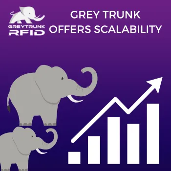 GREY TRUNK OFFERS SCALABILITY